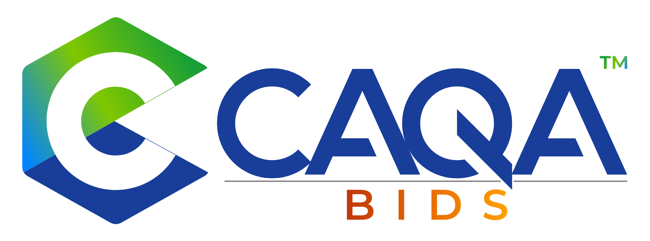 CAQA Bids logo